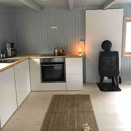 Old Fashion Cabin 10 Minutes From With Spectacular View! Holiday home Bodo